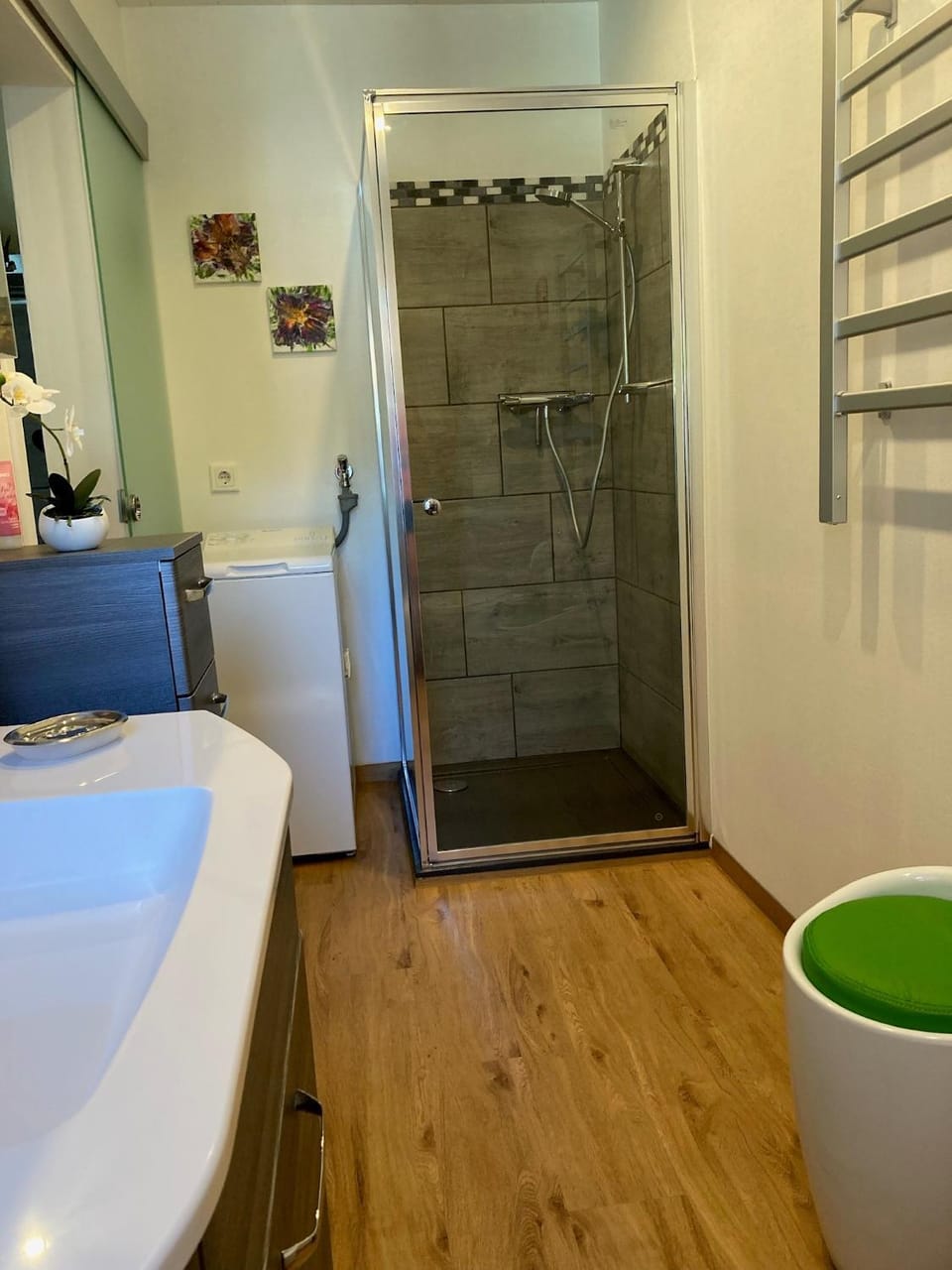 Bathroom, Living room