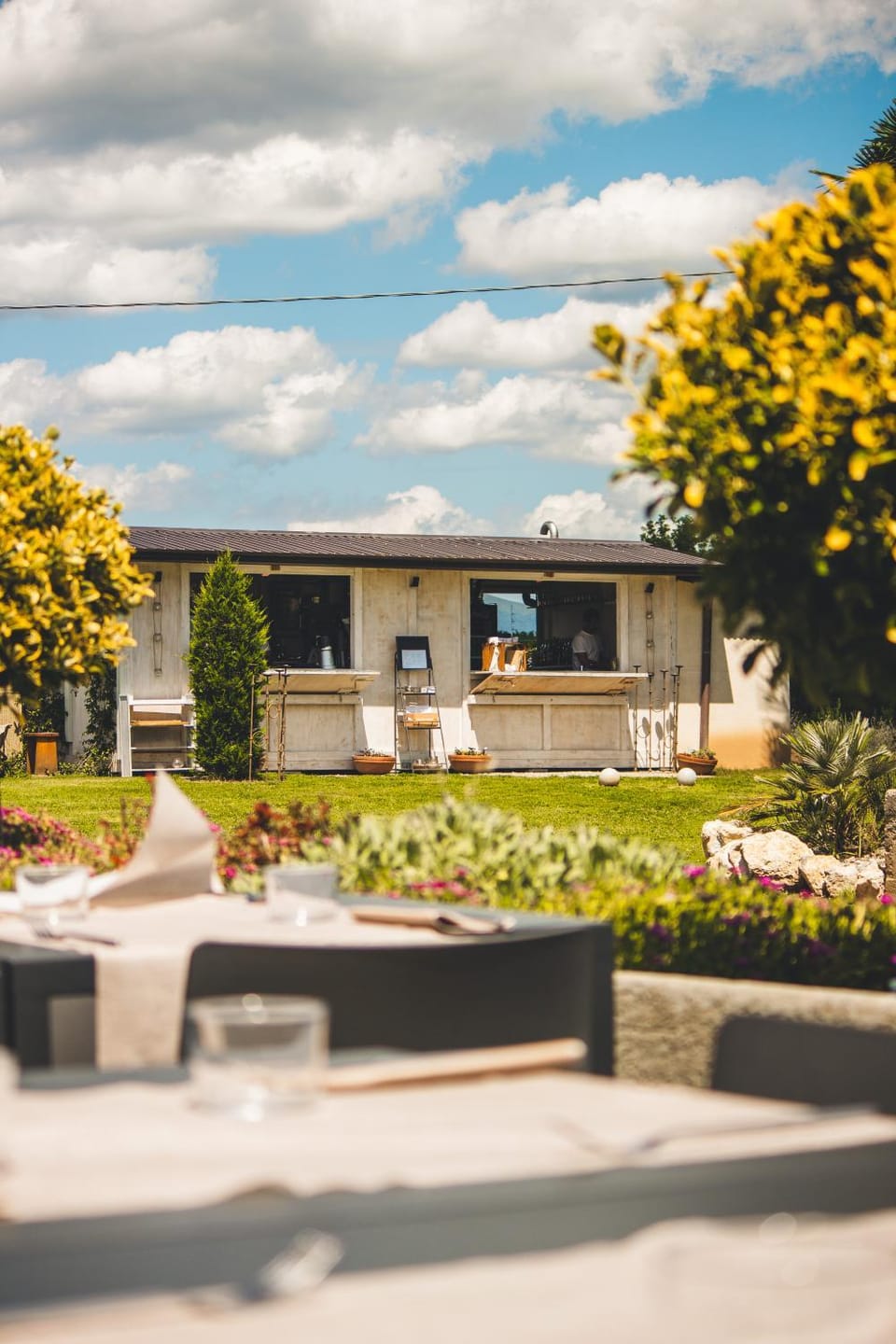 Garden, Food and drinks, Garden view, Swimming pool