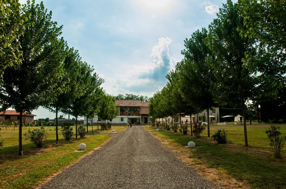 Natural landscape, Garden, Garden view