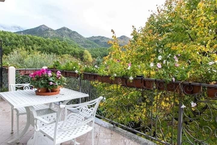 B&b Sant'Andrea Bed and Breakfast in Calabria