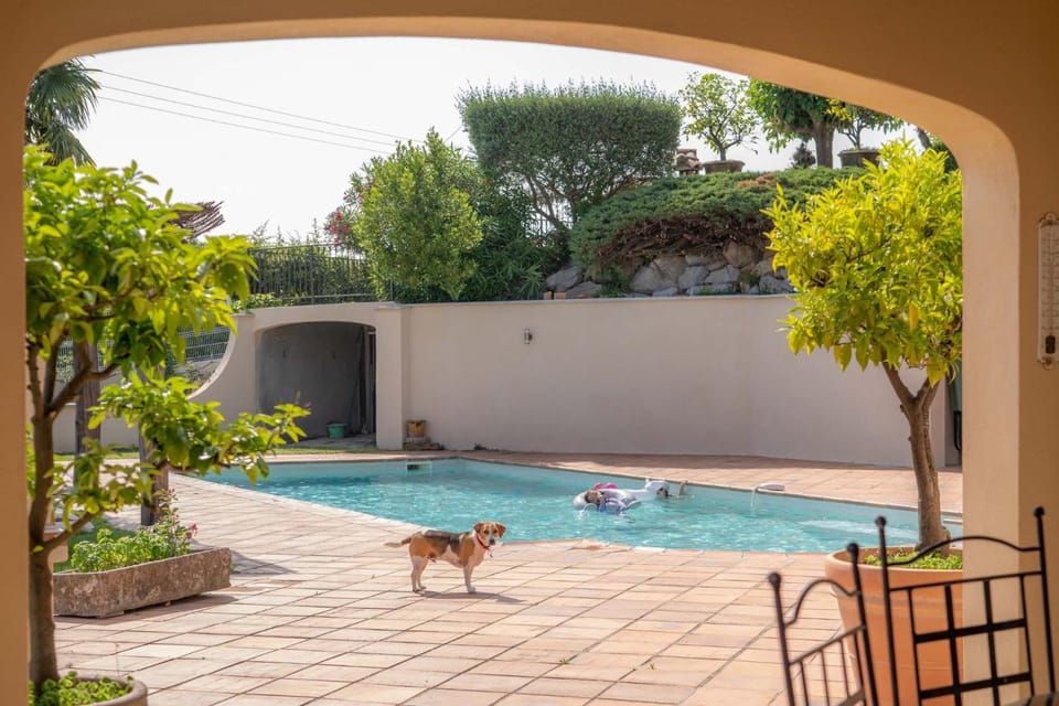 Patio, Swimming pool, pet friendly