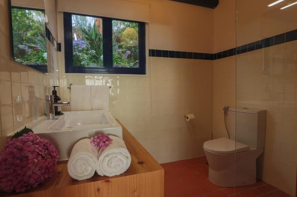 Green OceanView Relaxing Cottage Bed and Breakfast in Azores District