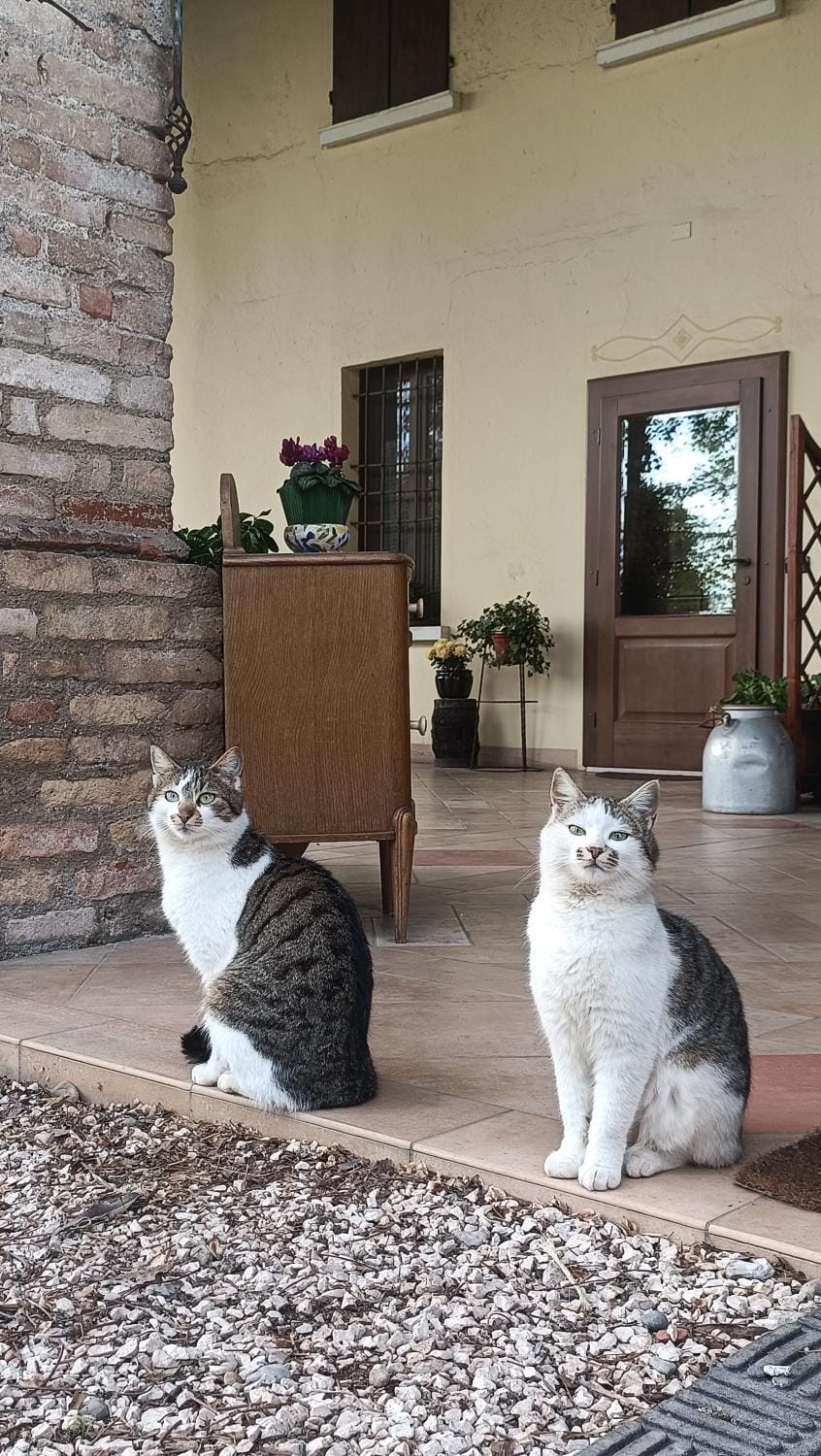 B&B Santa Cristina Bed and Breakfast in Province of Brescia