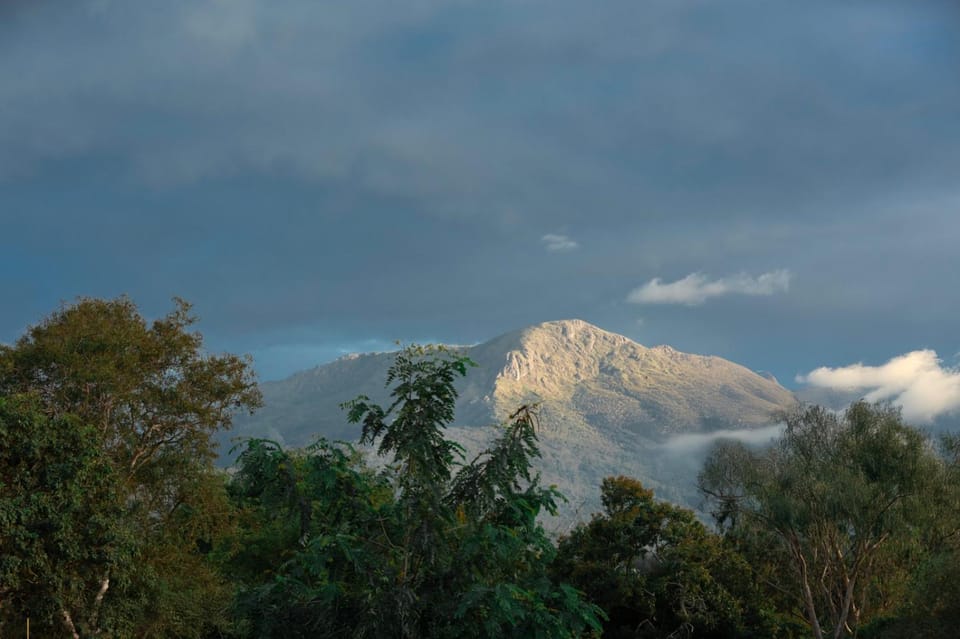 Mountain view