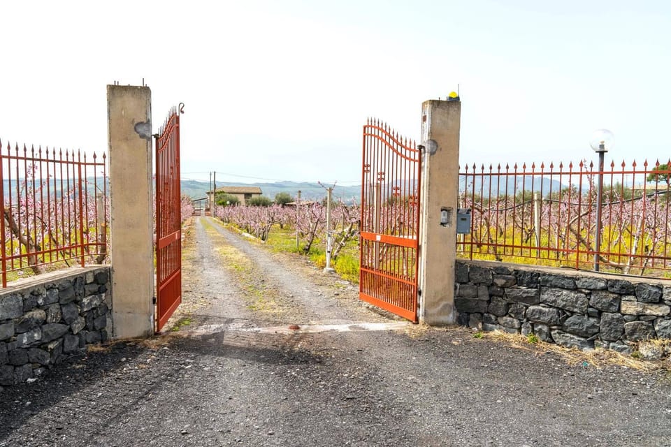 Facade/entrance, Spring, Natural landscape, Garden, Garden view