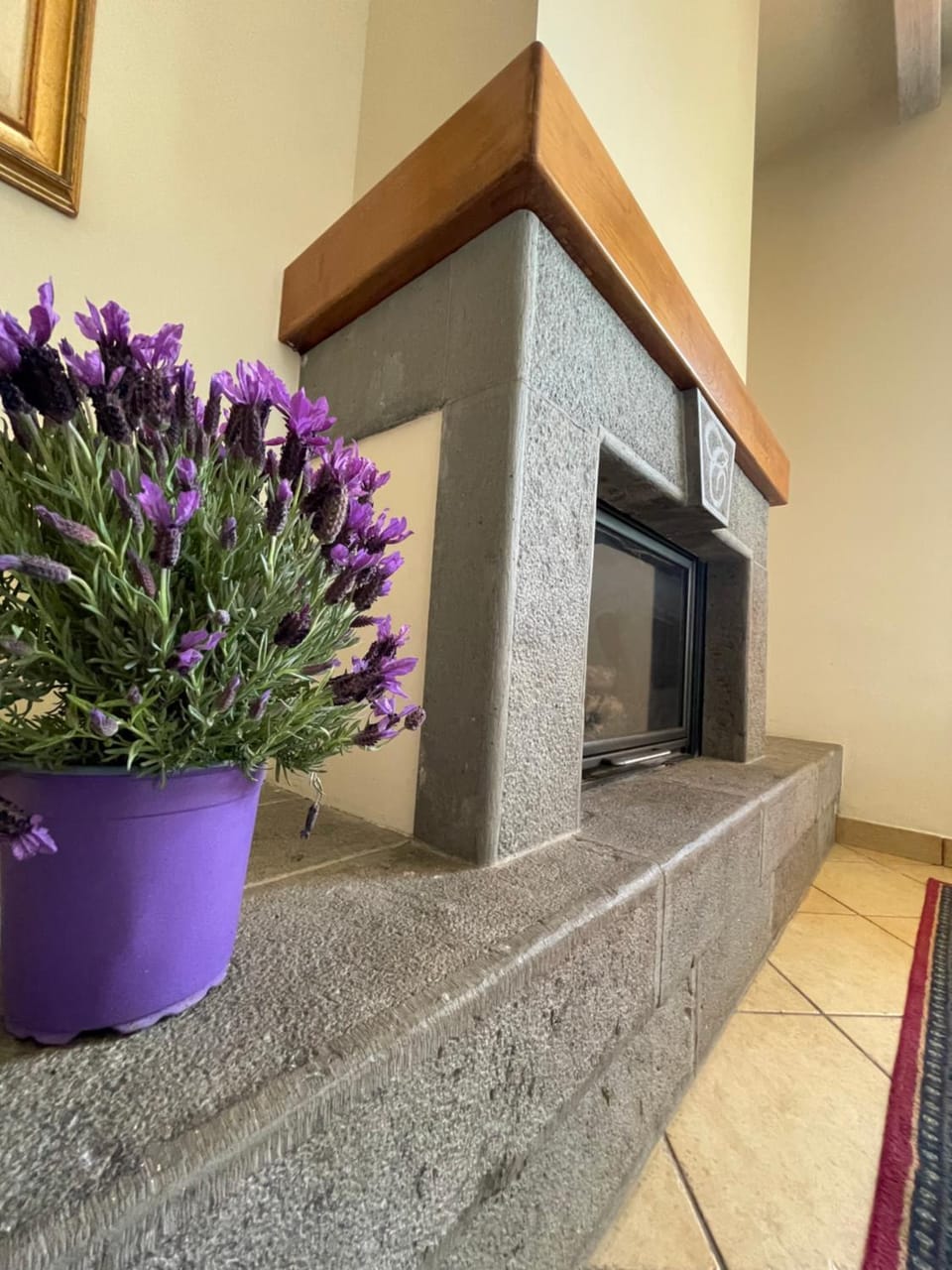 Day, flat iron, pet friendly, Internal: Not applicable to any particular room