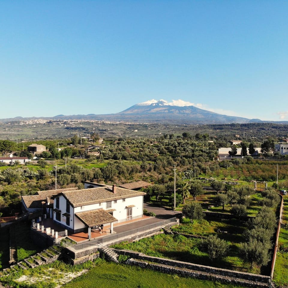 Property building, Patio, Garden, Garden view