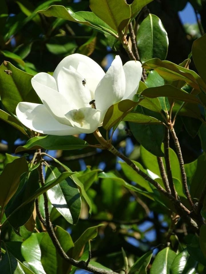 Hotel Astra Hotel in Blagoevgrad Province