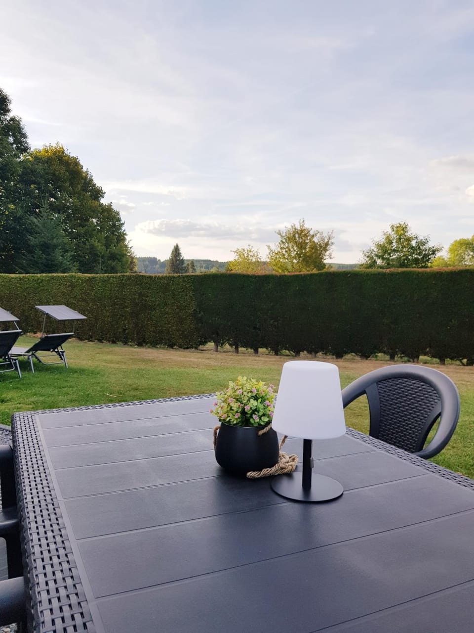Garden, Balcony/Terrace