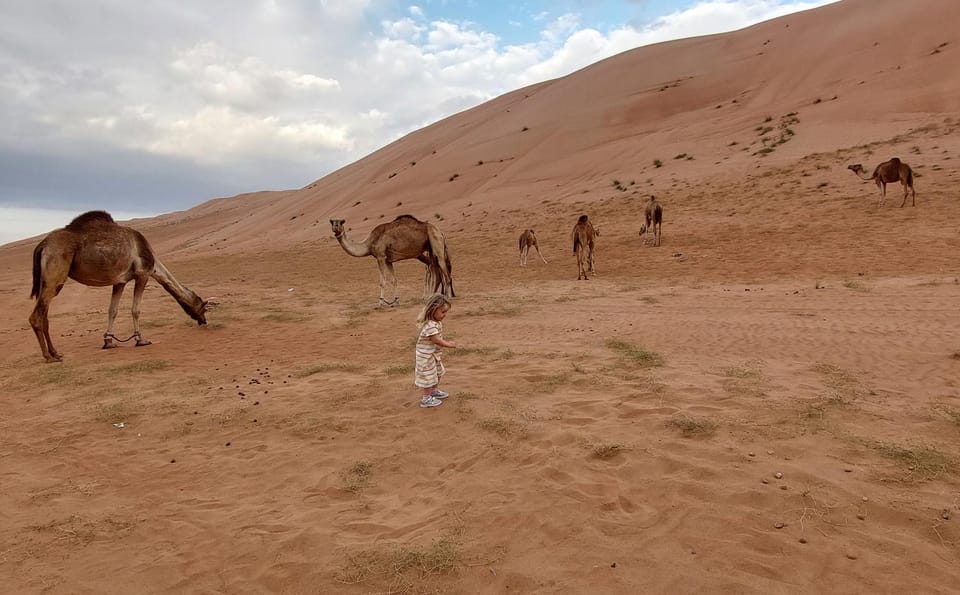 Natural landscape, Animals, Pets