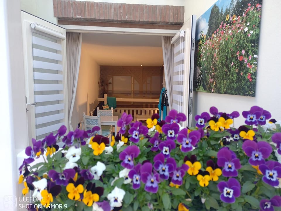 Patio, Facade/entrance