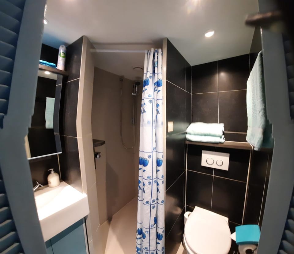 Shower, Toilet, Bathroom, Decorative detail