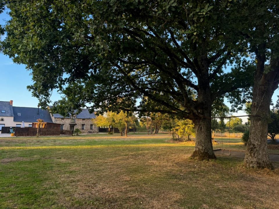 Property building, Spring, Day, Natural landscape, Garden, Garden view