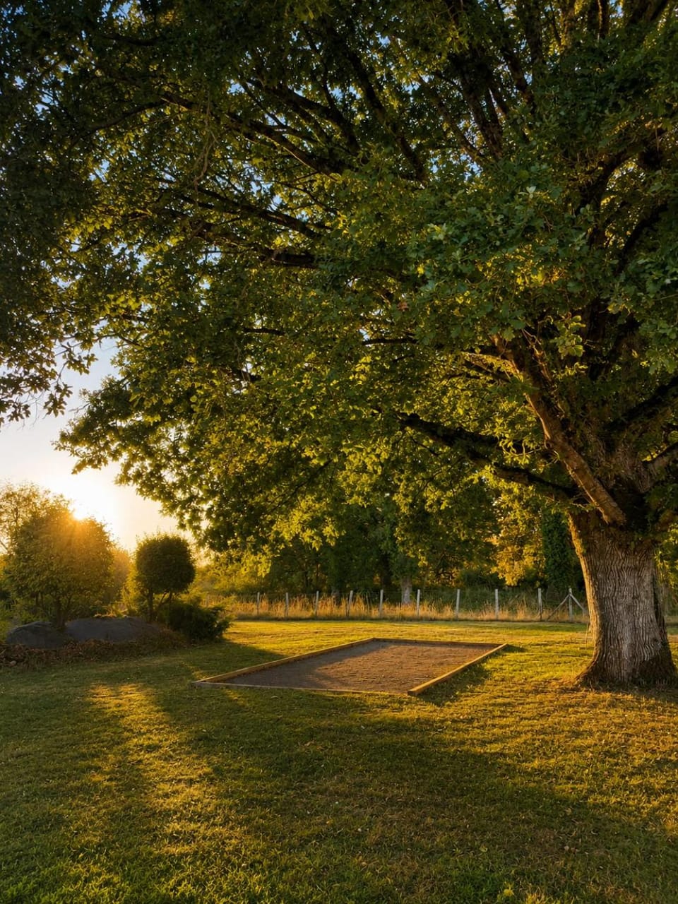Day, Natural landscape, Children play ground, Garden