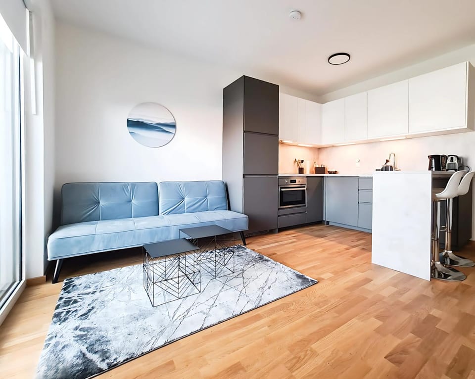 Kitchen or kitchenette, Living room, Seating area, stove