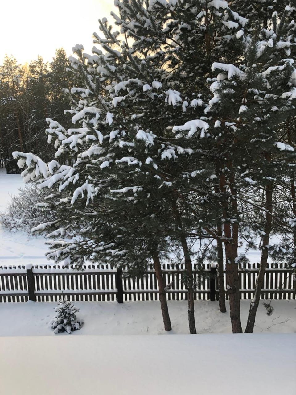 Winter