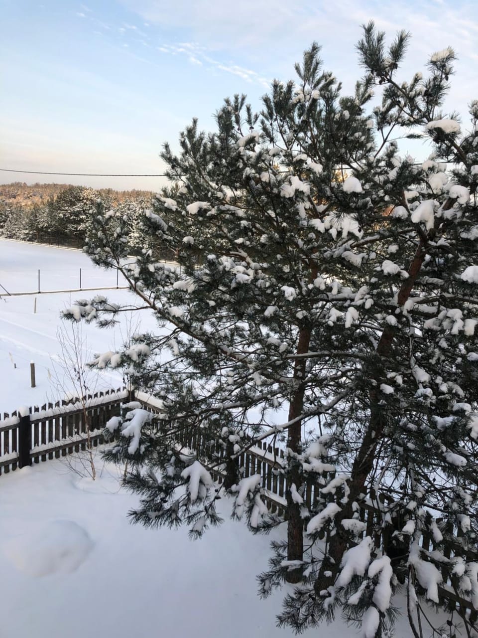 Winter