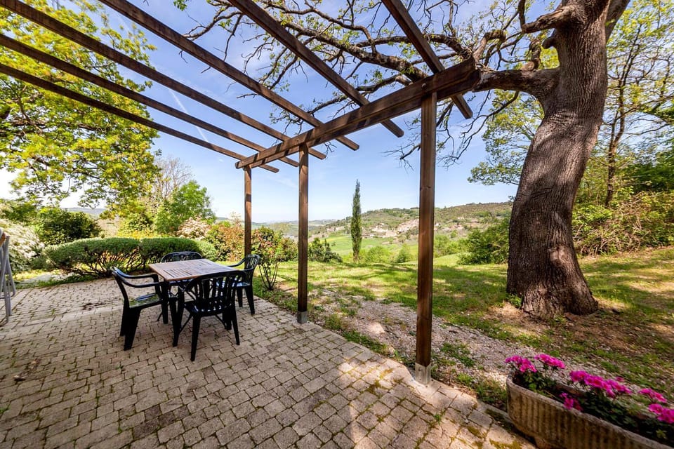 Patio, Garden, Garden view