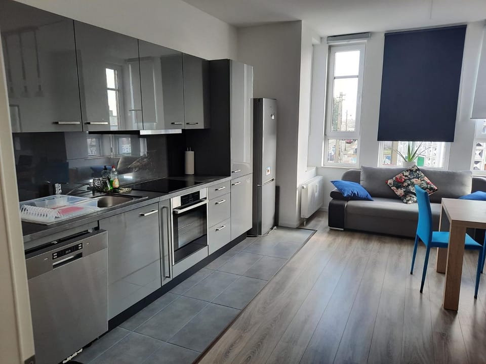 Kitchen or kitchenette, Dining area, dishwasher, stove