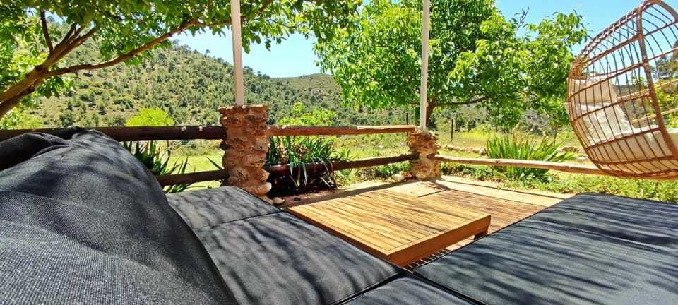 Patio, Day, Natural landscape, Garden, Garden view, Mountain view