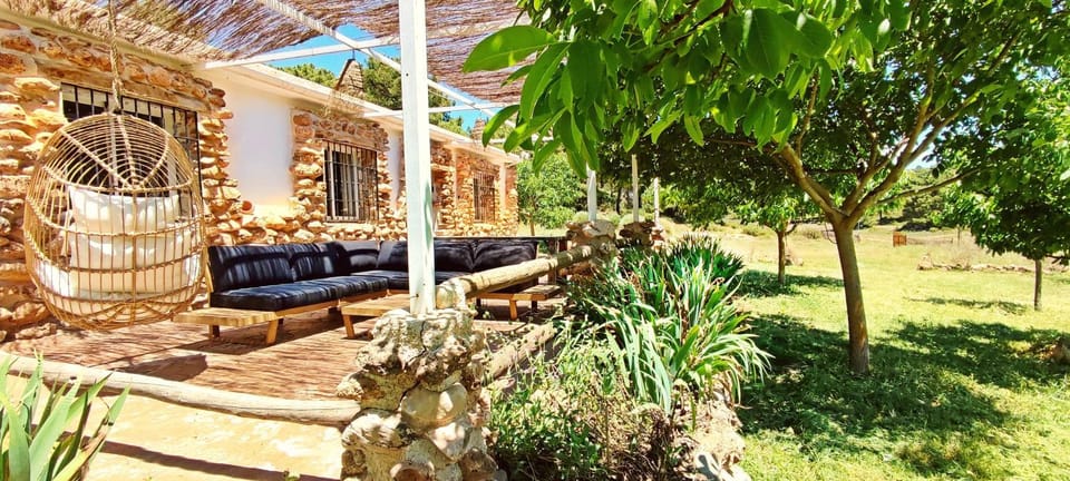 Patio, Garden, Garden view