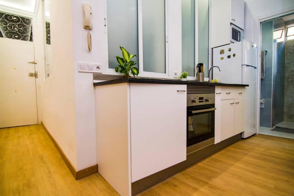 Kitchen or kitchenette, minibar, pet friendly, stove