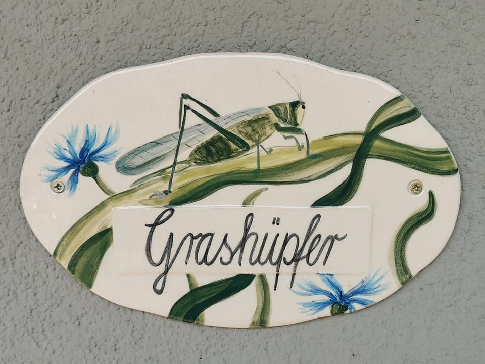 06 Grashüpfer - Hof Wiesengrund Apartment in Mecklenburg-Vorpommern, Germany