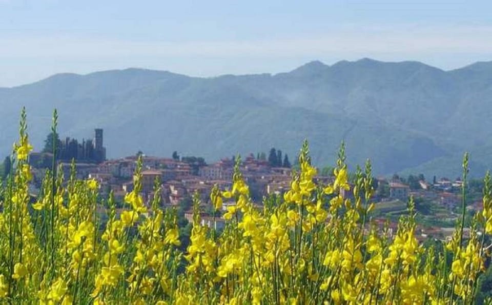 Nearby landmark, Restaurant/places to eat, Spring, Day, Natural landscape, BBQ facilities, Fishing, Garden, Horse-riding, Skiing, Balcony/Terrace, Canoeing, Hiking, Cycling, Evening entertainment, On site, City view, Garden view, Landmark view, Mountain view, Supermarket/grocery shop, Shopping Area, Swimming pool