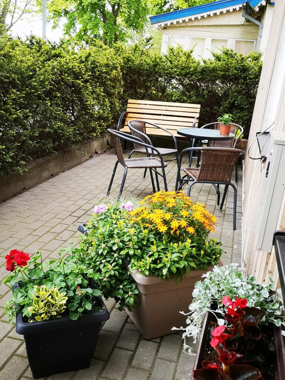Patio