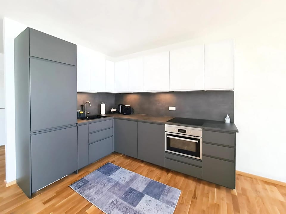 Kitchen or kitchenette, dishwasher, oven, stove
