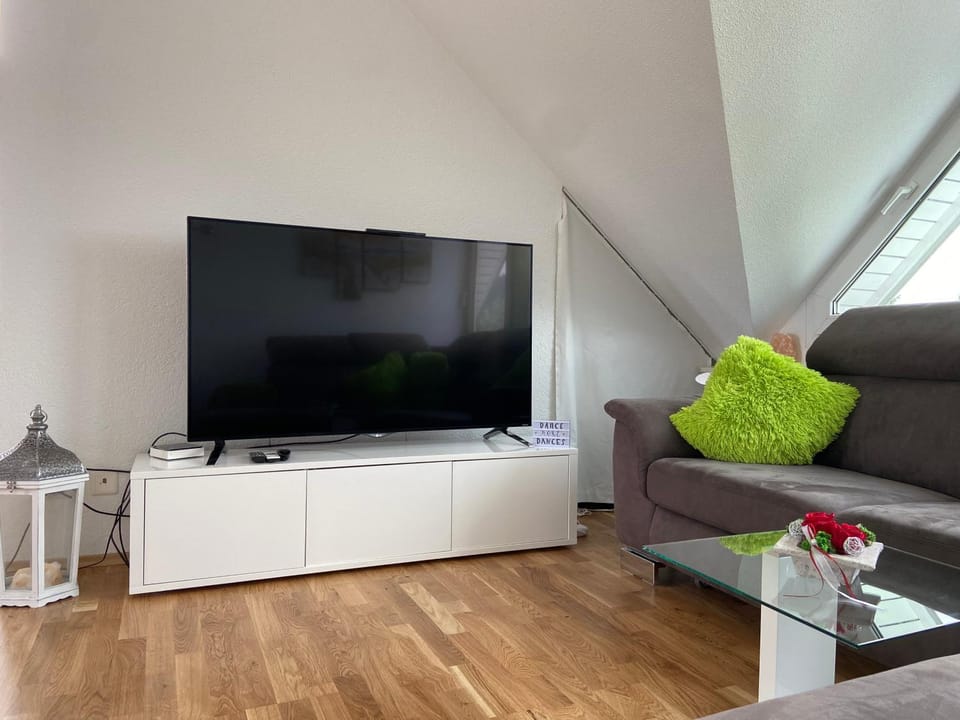 Sunshine Apartment in Canton of Bern (Region)