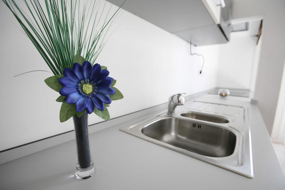 Communal kitchen, stove