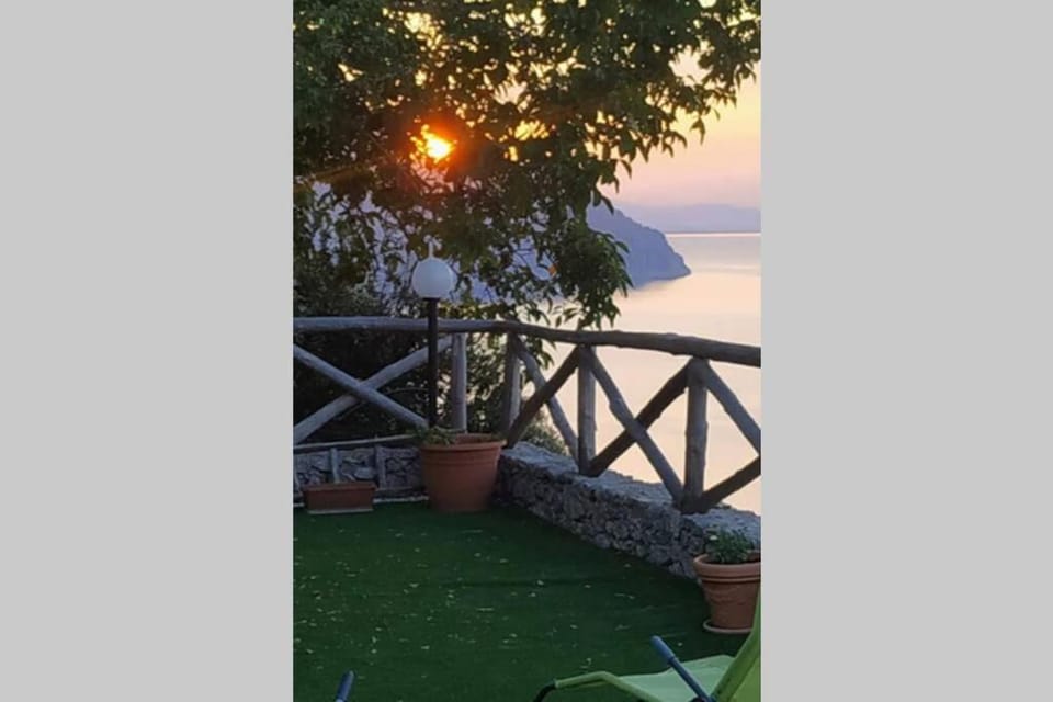 Patio, Balcony/Terrace, Garden view