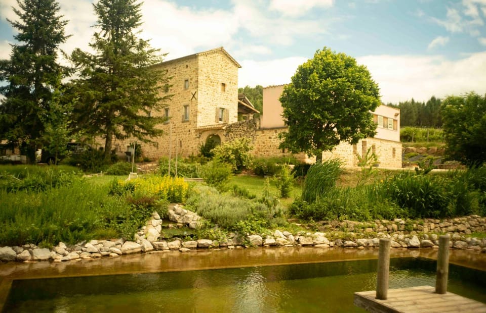 Natural landscape, Garden, Garden view