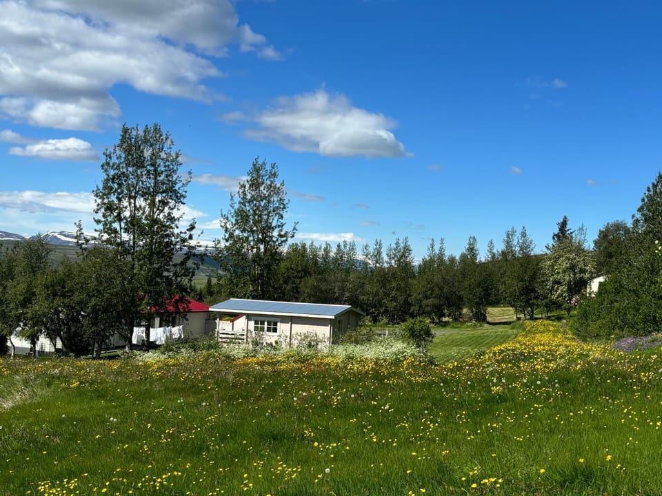 Laugar Guesthouse Bed and Breakfast in Northeastern Region