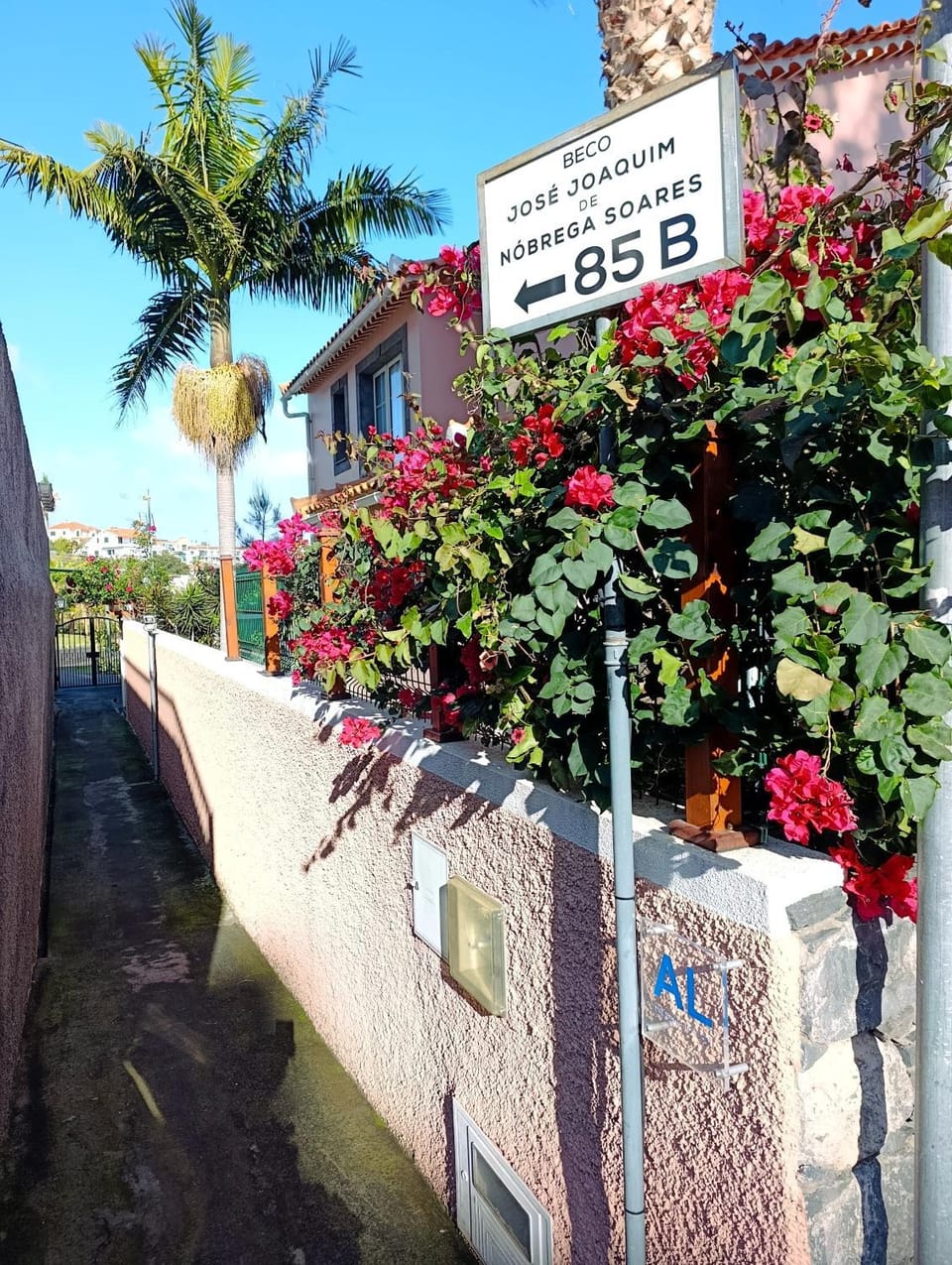 Property building, Day, Street view