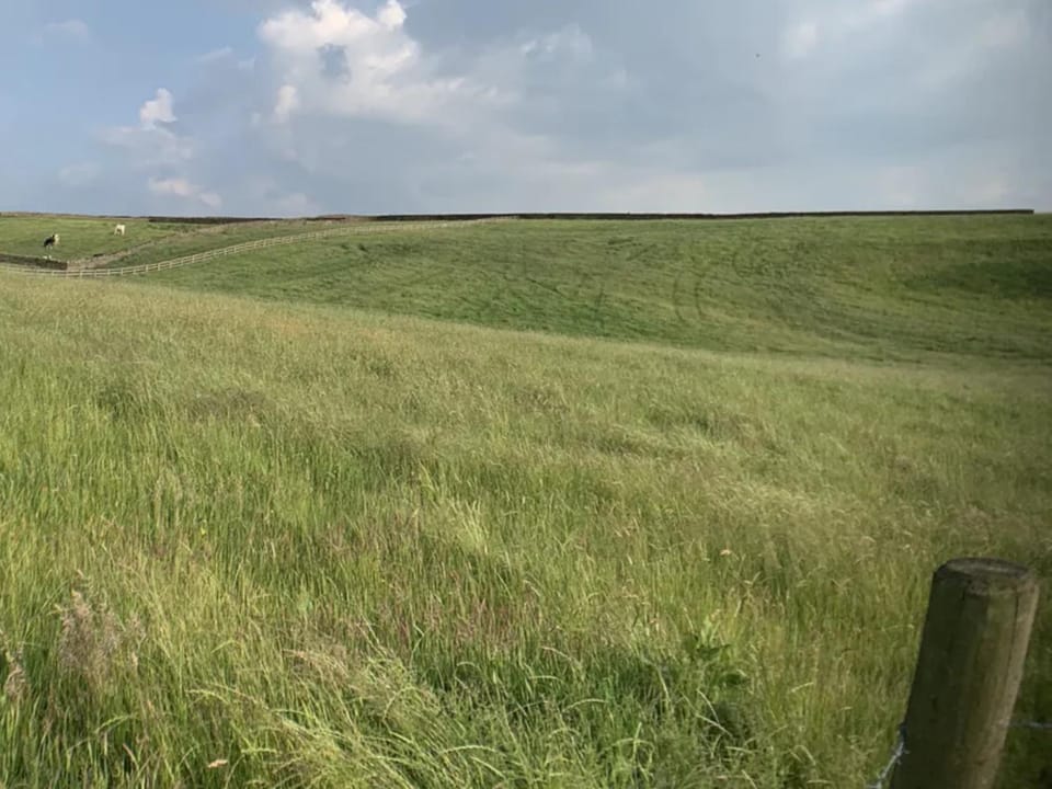 Natural landscape