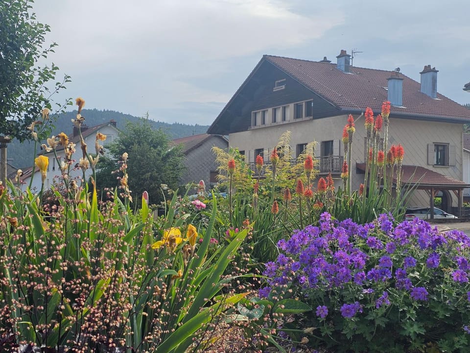 Superbe appartement 2 a 6 pers. hyper cocooning Apartment in Gérardmer