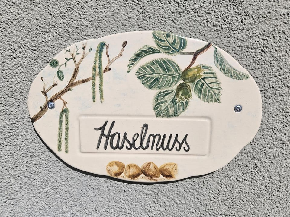 11 Haselnuss - Hof Wiesengrund Apartment in Mecklenburg-Vorpommern, Germany