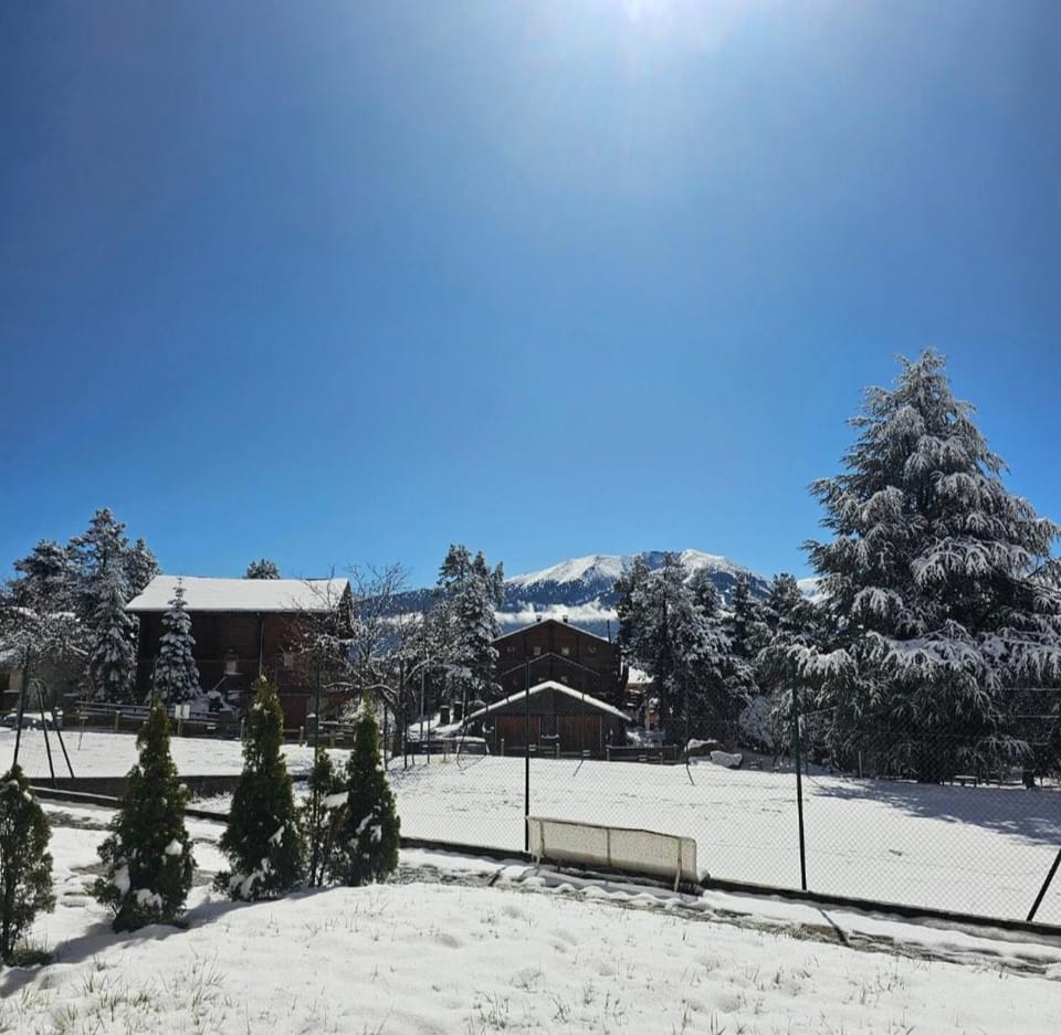 studio entier 25m2 proche centre ville Font Romeu Apartment in Bolquère