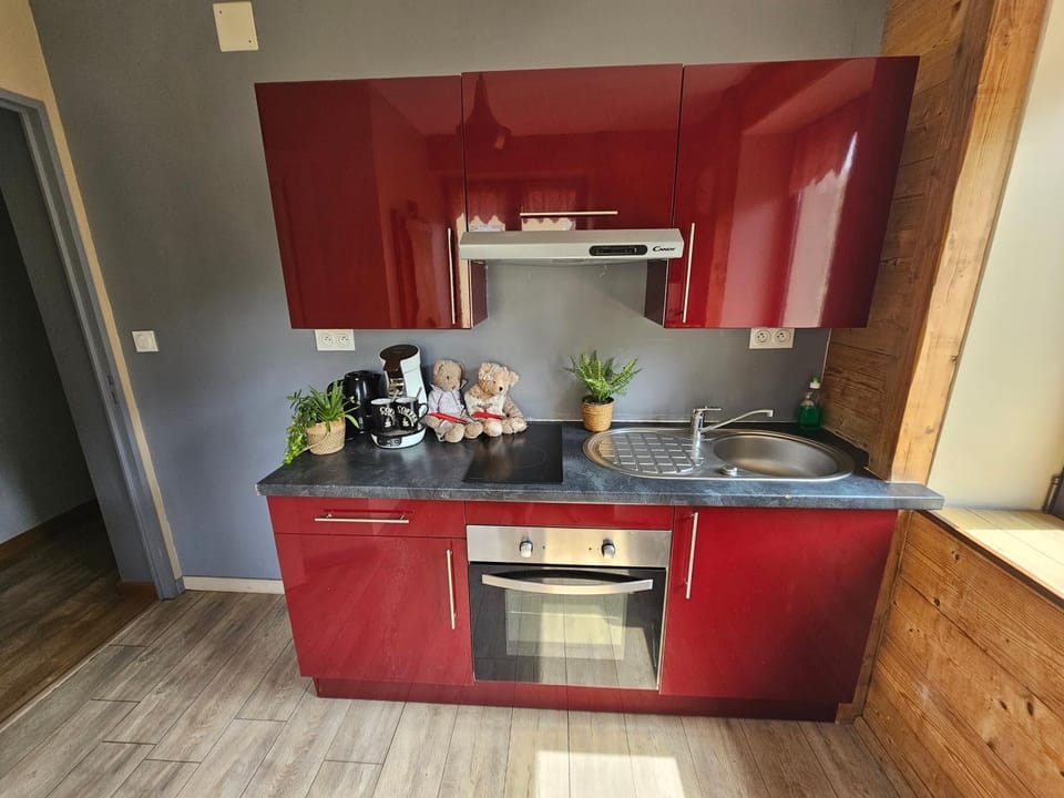 le chale heureux Apartment in Gérardmer