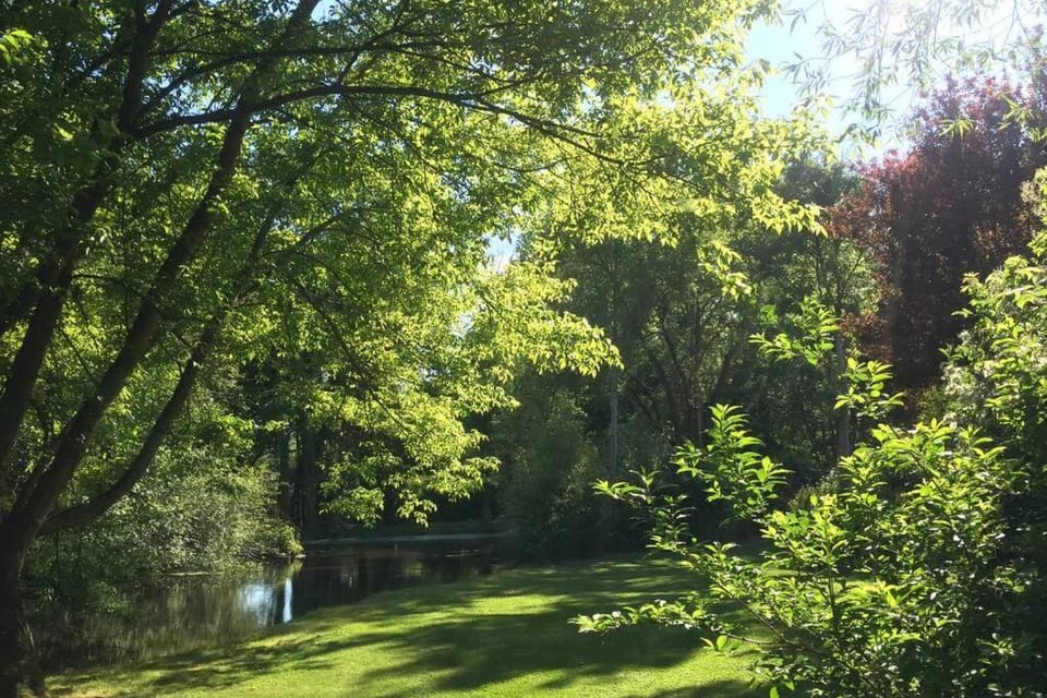 River view