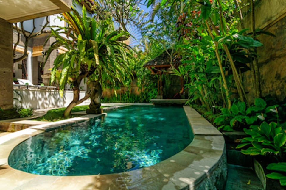 Property building, Swimming pool, Swimming pool