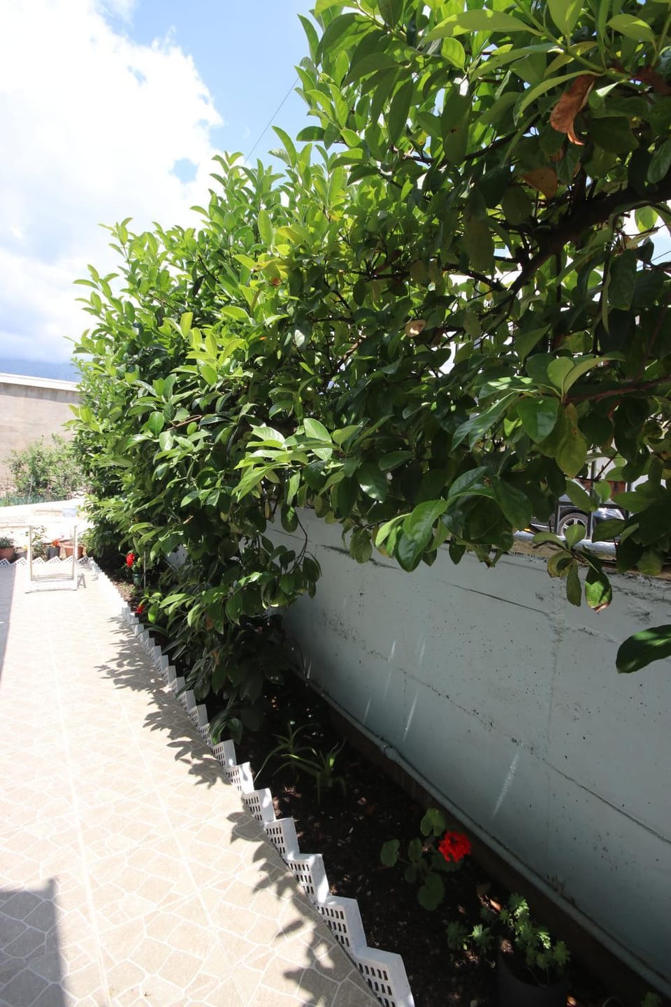 Garden Holiday Studios Bed and Breakfast in Vlorë County, Albania
