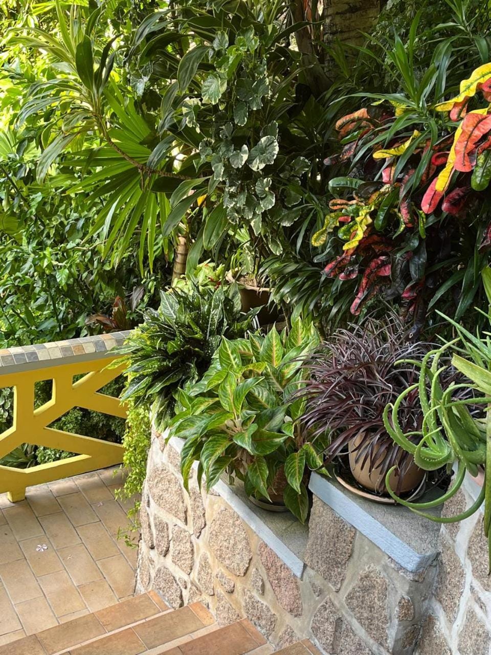Garden view