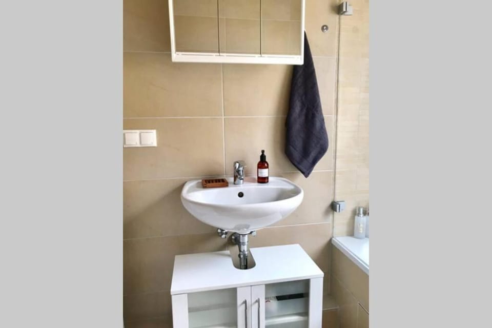 Homy flat near BASF/Free parking/Netflix/Wifi Apartment in Frankenthal