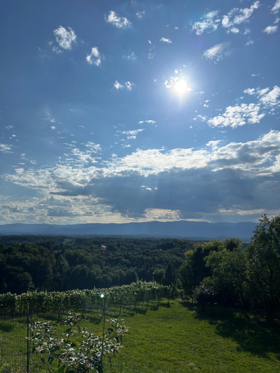 View (from property/room)