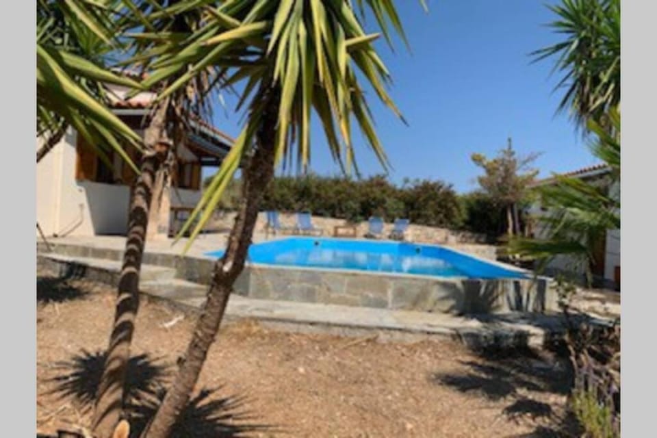 Villa Yucca Palm Villa in Crete Region