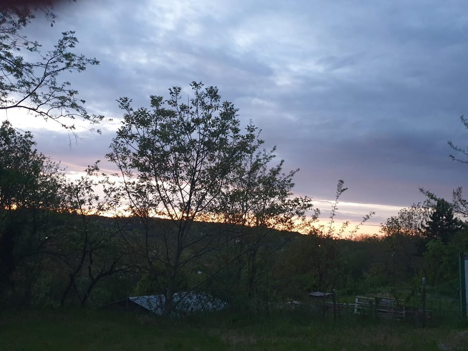 Miris lavande House in Novi Sad