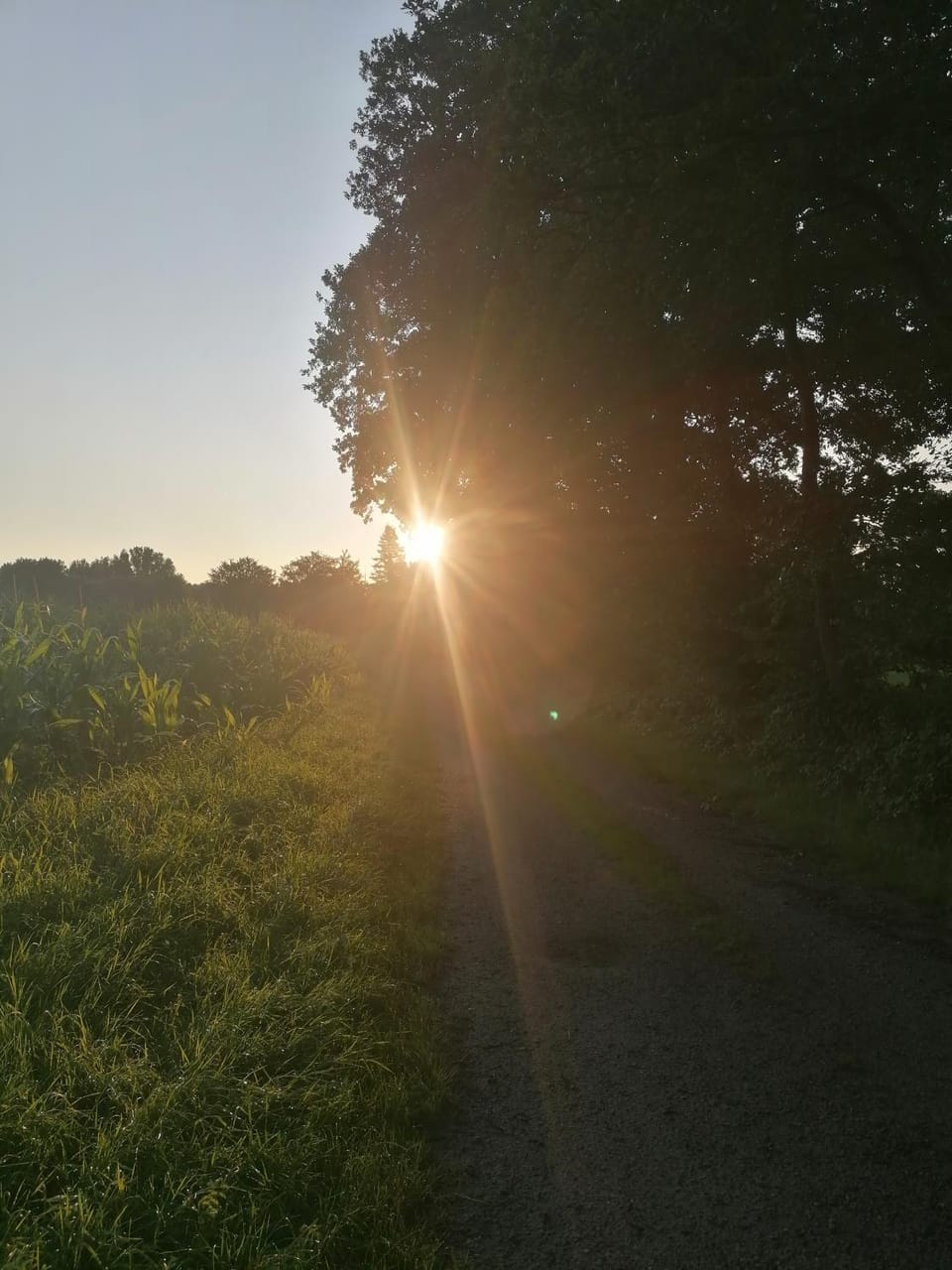 Natural landscape, Hiking